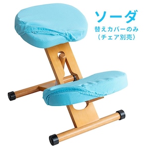 �{�����쏊�b�v���|�[�V�����`�F�A�p�ւ��J�o�[ ���ʂƕG��2���Z�b�g�i�\�[�_�j�bCV-8K_SO