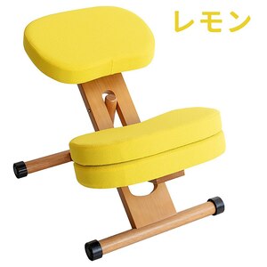 �{�����쏊�b�⏕�N�b�V�����t���v���|�[�V�����`�F�A�L�b�Y�i�������j�bCH-889CK_LE