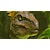 �X�p�C�N�E�`�����\�t�g�b�yPS5�zARK: Survival Ascended�bELJS-20063 PS5 �-� ��޲��� ����ޯ��