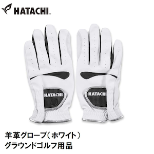 �n�^�`�b�r�v�O���[�u�i�z���C�g�j�bHACBH804301