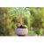 ��v�a�b�v�`�h�[��L 100���b#2655