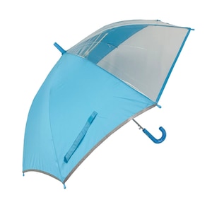 ���[�Y�Y�Ɓb55cm �w�����n2��POEBJ�@�u���[�b77550112