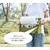 �Z�g�N���t�g�b�X�p�C�X���L�b�`���y�[�p�[�z���_�[(�J�[�L)�bS23-0541-KH