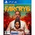 ���[�r�[�A�C�\�t�g�b�yPS4�z�t�@�[�N���C6�@�ʏ�ŁbPLJM-16792 PS4 ̧��ײ6 ³�ޮ�