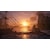 Ubisoft�b�yPS5�z�A�T�V�� �N���[�h �u���b�N �t���b�O RE:�V���N���bELJM-30874 PS5 ���ݸ�-�� ��ׯ��ׯ�� RE �ݸ�