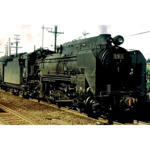 【特別セール品】 29-841 N) D51 ホビ | ホビーセンターカトー | 一次形(DCC仕様) 鉄道模型