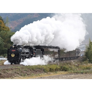 (N) 10-1499 D51 200+35系 SL「やまぐち」号 6両セット【特別企画品】