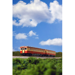 �J�g�[�b(N) 6041-3 �L�n52 ��ʐF(M)�b��- 6041-3 ��52 ����ݼ�� M