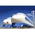 �J�g�[�b�y�Đ��Y�z(N) 10-044 ��SHINKANSEN-0�� 4���Z�b�g�b��- 10-044 SHINKANSEN-0 4R
