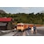 �J�g�[�b�y�Đ��Y�z(N) 6128 �L�n58 1100�b��- 6128 ��58 1100