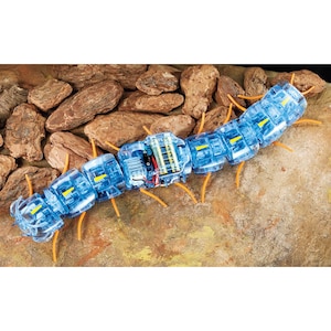 �^�~���b���J�f���{�b�g�H��Z�b�g�y70230�z�bT 70230 Ѷ����ޯĺ��