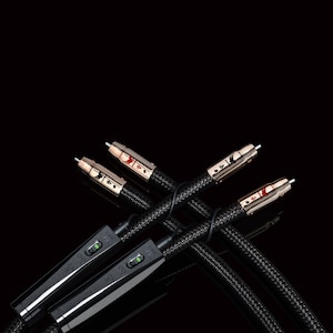 �I�[�f�B�I�N�G�X�g�bRCA�P�[�u��(2.0m�E�y�A)�y�K�T�X�y�󒍔����i�z�bPEGA/2M/RCA