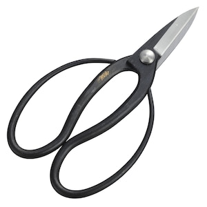 �L���{�V�b���� ��v����(�|�t)�b3003