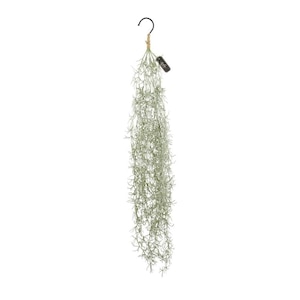 Eclia greenery life(�G�N���A �O���[�i���[���C�t)�b���L�A�[�e�B�t�B�V�����O���[�� �n���M���O(�X�p�j�b�V�����X)�bBF024075-1A-2C