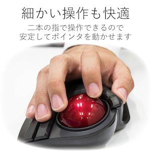 �l�����w�E���w�^�C�v