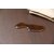 �s��f�Ձb���~�e�[�u��(��90�~���s50�~����43�`57cm)�u���E���b10497