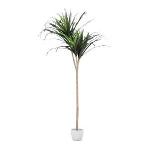 人工観葉植物 ドラセナ コンシンネ Joshin Webショップ 通販 不二貿易 人工観葉植物 ドラセナ コンシンネ Joshin Webショップ 通販 不二貿易