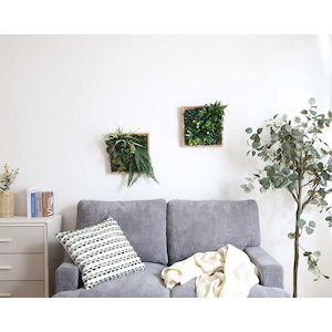 �s��f�Ձb�t���[���t���ǖ�(�Nރ��[��)30cm �V�^ރzރ����[��(�Nރ��[��)�b63903(̼��޳��)
