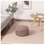 BACKYARD FAMILY(�o�b�N���[�h�t�@�~���[)�b���[�ł���N�b�V�����J�o�[ �V���V���i�X�N�G�A �A�C�{���[�E�T�C�Y�FS�j�bBF023034-1A-2D