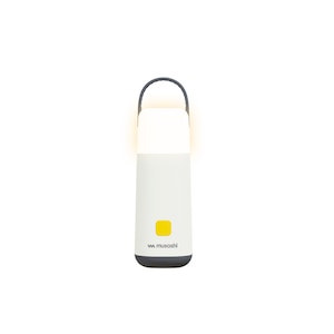 ���T�V�bUSB Type-C�[�d���@�~�j�����^���v���X�����d���@180lm/250llm�bRL-01