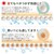 HAGIHARA(����)�b�ې􂢂ł��� �������J�[�y�b�g �]�ˊ�6��(261�~352cm�E�u���E��)�bٲ�E6BR