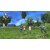���{�t�@���R���b�ySwitch�z�p�Y�`�� �t�̋O��II for Nintendo Switch�bHAC-P-BHPXA NSW ��ɷ��2