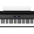 ���[�����h�b�d�q�s�A�m�i�u���b�N�j�bFP-60X-BK