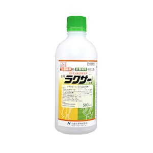 ���Y���w�b������ ���N�T�[���� 500ml�bNK-2057516