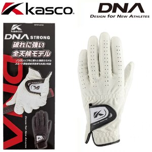�L���X�R�b�����Y �S���t�O���[�u DNA STRONG ����p(�z���C�g�E�T�C�Y�F23cm)�bSFST-2312-WH-23