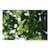 �^�������b�yJoshin web����F�n�N�o �����Y�K�[�h�t���̃Z�b�g�z150-500mm F/5-6.7 Di III VC VXD�iModel�FA057�j�bTA150-500DI3̼�A057X