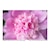�^�������b�yJoshin web����F�n�N�o �����Y�K�[�h�t���̃Z�b�g�z70-180mm F/2.8 Di III VC VXD G2�iModel�FA065�j�bTA70-180DI3G2A065S