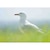タムロン｜【Joshin web限定：ケンコープロテクター付きのセット】28-300mm F/4-7.1 Di III VC VXD（Model：A074）｜TA28-300DIVCVXDA074S