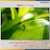 �^�������b�yJoshin web����F�n�N�o �����Y�K�[�h�t���̃Z�b�g�z25-200mm F/2.8-5.6 Di III VXD G2(Model A075)�bTA25-200DI3G2A075S