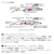 �_�C���b�V���A���C���V���C�i�[Z �Z�b�g�A�b�p�[ 125S-DR(���[�U�[�}�C���V)�b���ײݼ��ŰZ ��ı��߰ 125S-DR(ڰ�ްϲܼ)