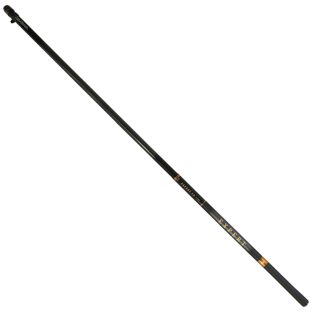 ダイワ(DAIWA) 渓流竿 エキスパート本流・R P-3 75M・R 釣り竿