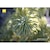 ニコン｜NIKKOR Z 35mm f/1.4｜Z35/1.4