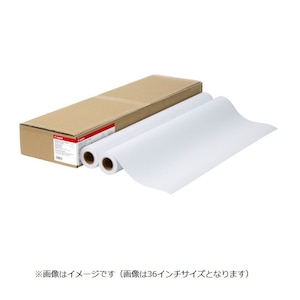 �L���m���b�唻�v�����^�[�p���[���� �X�^���_�[�h���ʎ�2 24�C���`�~50m�bLFM-PPS2/24/64
