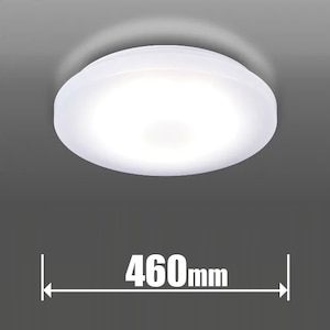 �^�L�Y�~�b10��`12���p �V�[�����O���C�g�y�J�`�b�g���z�bGD12287