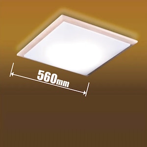 �^�L�Y�~�b6��`8���p �a���V�[�����O���C�g�y�J�`�b�g���z�bGDK80308
