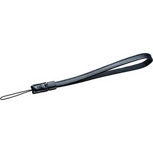 ���R�[�b�n���h�X�g���b�v�uGS-2�v�bGS2(RICOH)