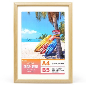 �P���R�[�b�_�C���N�g�t���[�� �p���f�BII A4�EB5���p�i�i�`�������j�bMPR-A4-NA