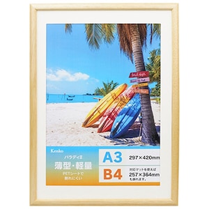 �P���R�[�b�_�C���N�g�t���[�� �p���f�BII A3�EB4���p�i�i�`�������j�bMPR-A3-NA