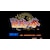 SNK�b�ySwitch�z�A�P�A�JNEOGEO �Z���N�V���� Vol.8�bHAC-P-BRE6A NSW ���� NEOGEO�@�ڸ��� Vol.8
