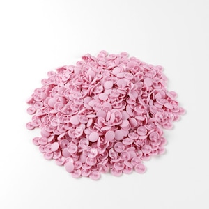 KIYOHARA�b�T���R�b�R�[ �v���X�i�b�v13�~�� 1000�g(BP)�bSUN15-71G