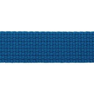 KIYOHARA�b�T���R�b�R�[ �J���[�e�[�v 25mm(�}�����u���[)�bSUN56-51