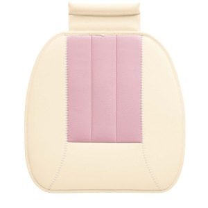 BONFORM�b�V�[�g�N�b�V���� �J���[���C�N�A�b�v45x45cm �s���N�b5755-43PI