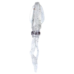���~�J�b�v�j�C�J 3�C���` 3�{��(�P�C�����N���A)�bC00183(�ж)