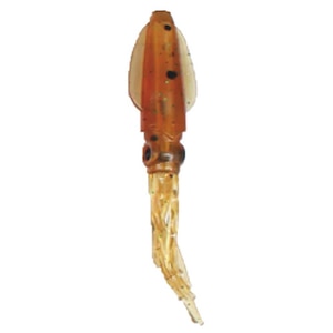 ���~�J�b�v�j�C�J 3�C���` 3�{��(�p���v�L��)�bC00189