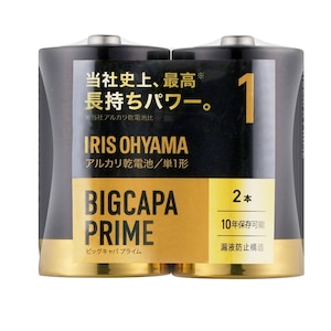�A�C���X�I�[���}�b�A���J�����d�r�P1�` 2�{�p�b�N�bLR20BP/2P