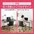 �A�C���X�I�[���}�b�x�[�V�b�N�f�X�N�@1200�~600(���C�g�i�`������/�z���C�g)�bBDK-1260ײ�������ܲ